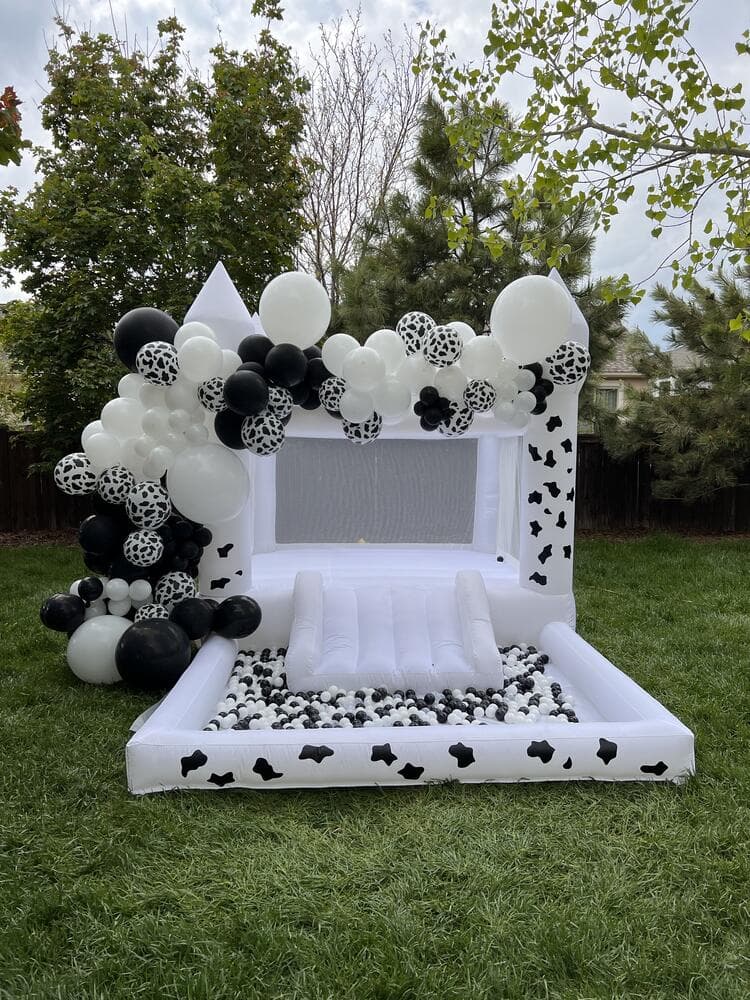 House of Possibilities — 8x13 Bounce House with Ball Pit