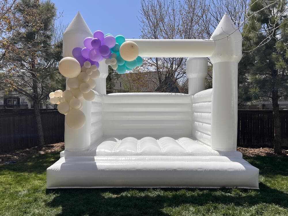 House of Delight — 13x13 Modern Bounce House
